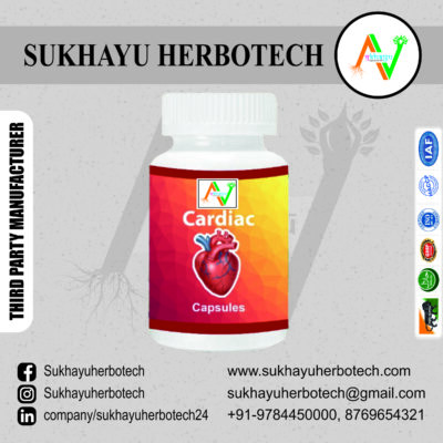 Cardiac Capsule